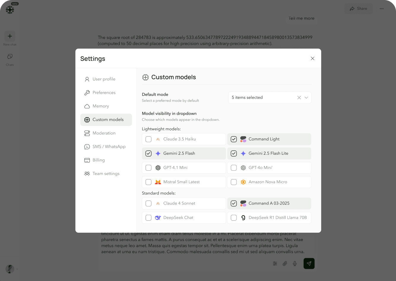 Iluy custom models settings showing multimodal AI capabilities
