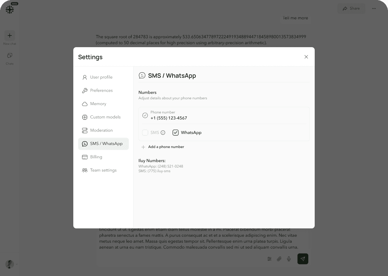 Iluy SMS and WhatsApp settings for mobile AI access